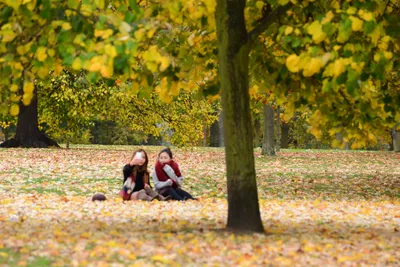 DSC_0586 (Large).JPG